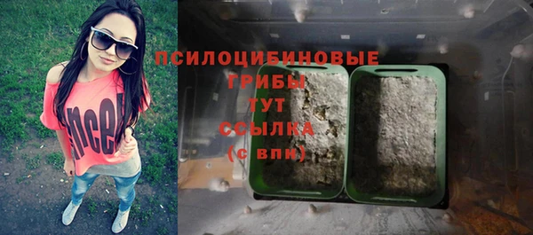 мет Арсеньев