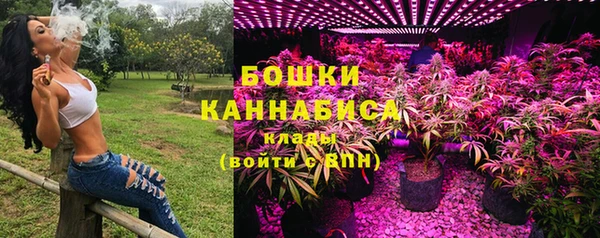 мет Арсеньев
